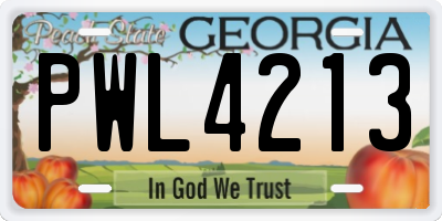 GA license plate PWL4213