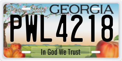 GA license plate PWL4218