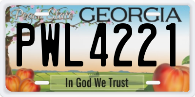 GA license plate PWL4221