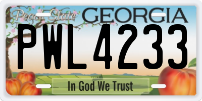 GA license plate PWL4233