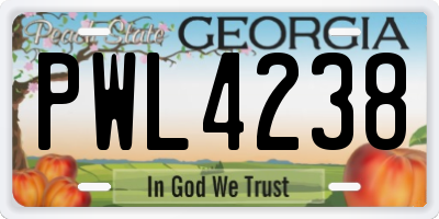 GA license plate PWL4238