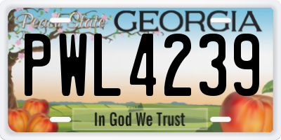 GA license plate PWL4239