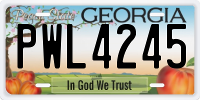 GA license plate PWL4245