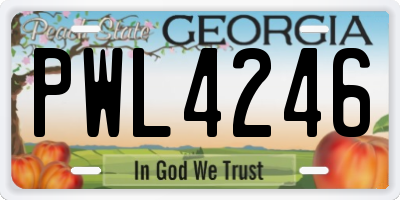 GA license plate PWL4246