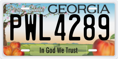GA license plate PWL4289