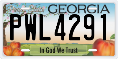 GA license plate PWL4291