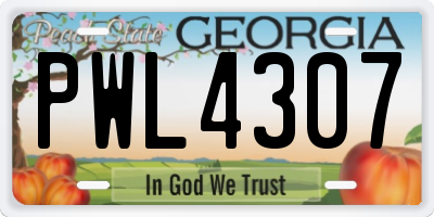 GA license plate PWL4307