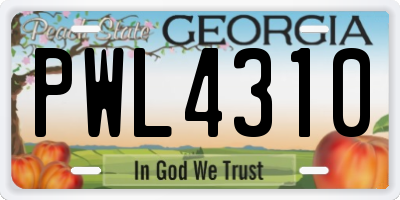 GA license plate PWL4310