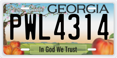 GA license plate PWL4314