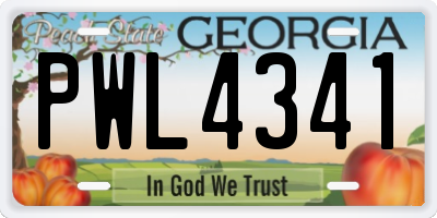 GA license plate PWL4341