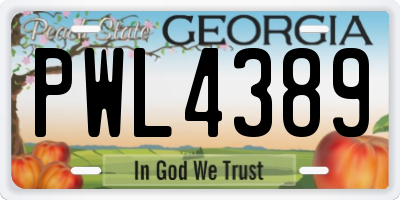 GA license plate PWL4389