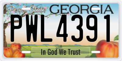 GA license plate PWL4391