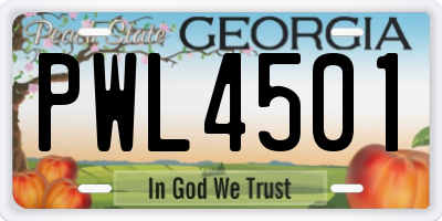 GA license plate PWL4501