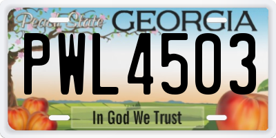 GA license plate PWL4503