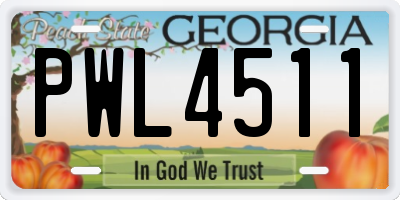 GA license plate PWL4511