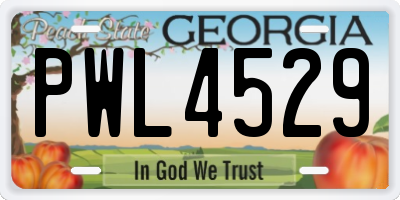 GA license plate PWL4529