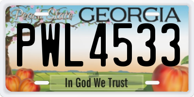 GA license plate PWL4533