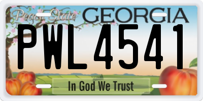 GA license plate PWL4541