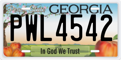 GA license plate PWL4542