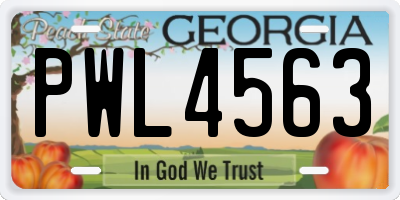 GA license plate PWL4563