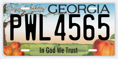 GA license plate PWL4565