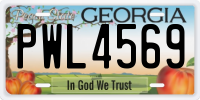 GA license plate PWL4569
