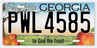 GA license plate PWL4585