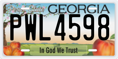 GA license plate PWL4598