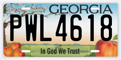 GA license plate PWL4618