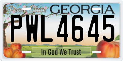 GA license plate PWL4645