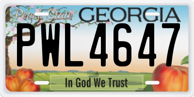 GA license plate PWL4647