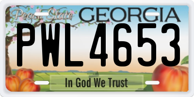 GA license plate PWL4653