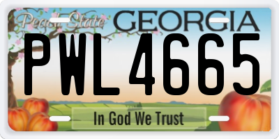 GA license plate PWL4665