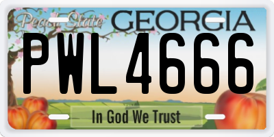 GA license plate PWL4666