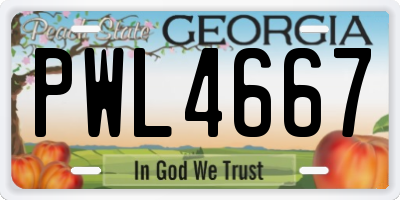 GA license plate PWL4667