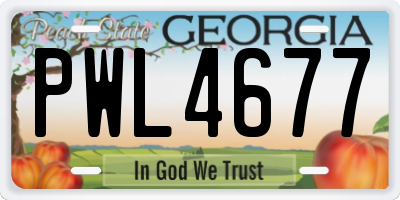 GA license plate PWL4677