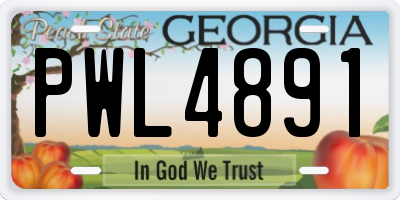 GA license plate PWL4891