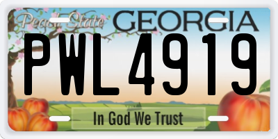 GA license plate PWL4919