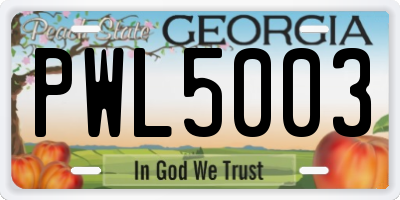 GA license plate PWL5003