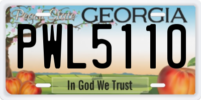 GA license plate PWL5110