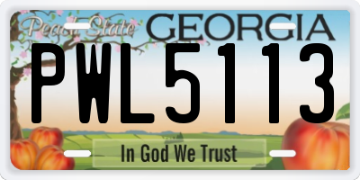 GA license plate PWL5113