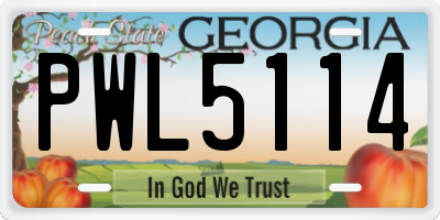 GA license plate PWL5114