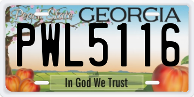 GA license plate PWL5116