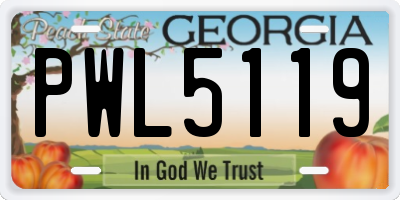 GA license plate PWL5119