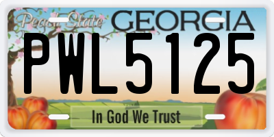 GA license plate PWL5125