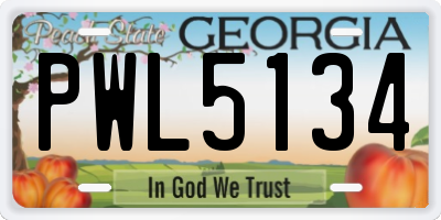GA license plate PWL5134