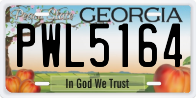 GA license plate PWL5164