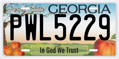 GA license plate PWL5229