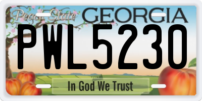 GA license plate PWL5230