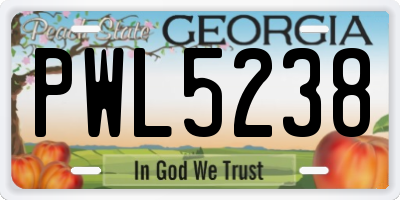 GA license plate PWL5238